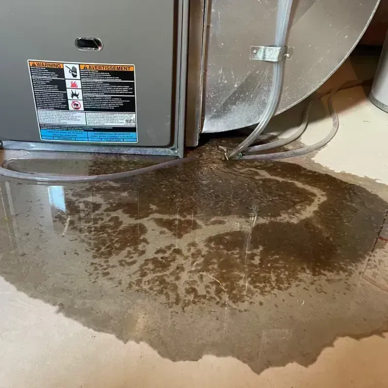 Appliance Leak Cleanup in Lusk, WY